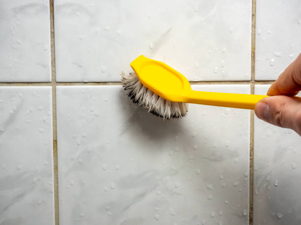 Best Residential Mold Removal  in Northwoods, MO