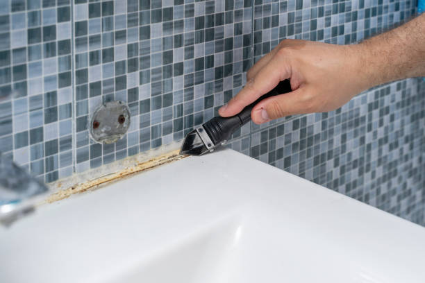Best Attic Mold Removal  in Northwoods, MO